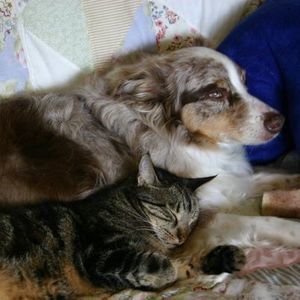 Meet your Posher, Johnna